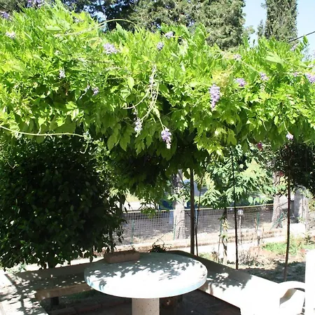 B&B Al Frantoio-2